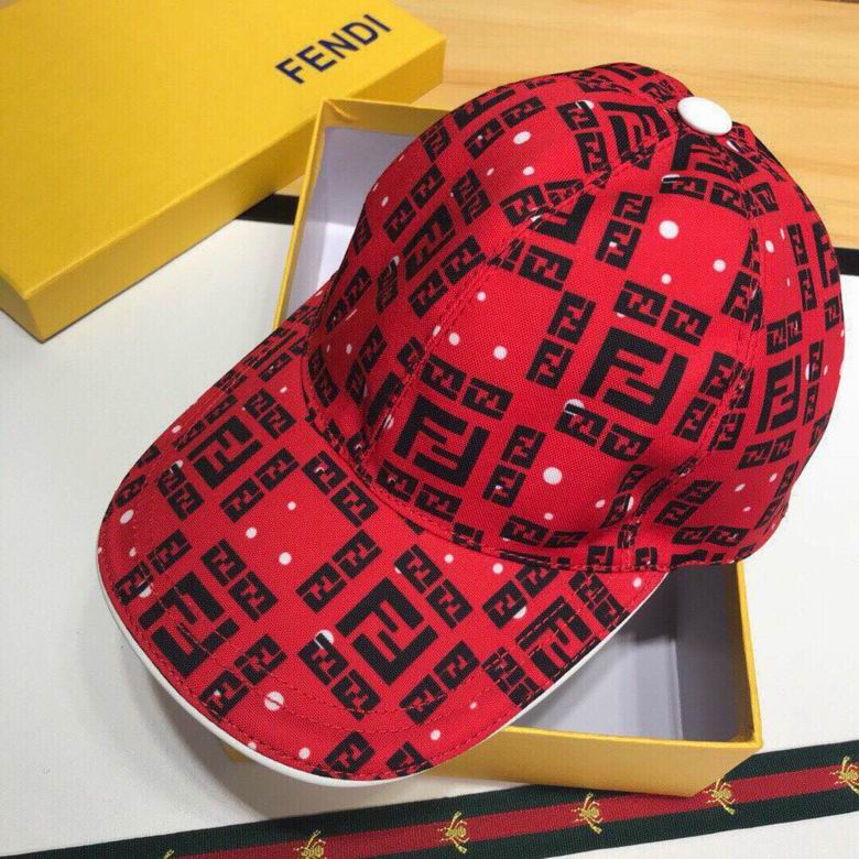 Fendi hats-F6609H